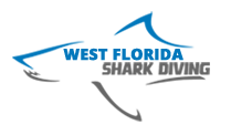 West Florida Shark Diving Logo