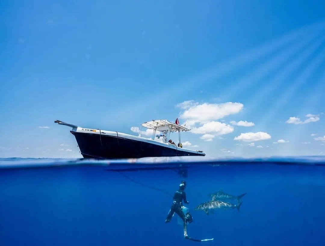 An image of the West Florida Shark Diving Boat at the shark grounds. 